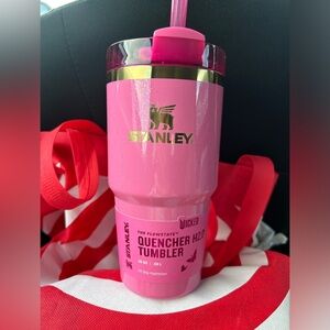 Stanley x Wicked tumbler. Wicked Stanley from target. 20 oz Glinda